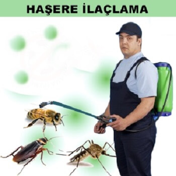 Hizan Böcek İlaçlama